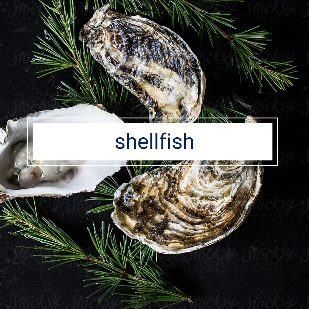 SS Sister Seafood Malaysia Finest Fresh Seafood Delivery